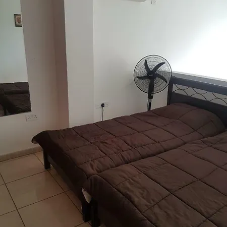 Apartment Bachelor With Private Yard